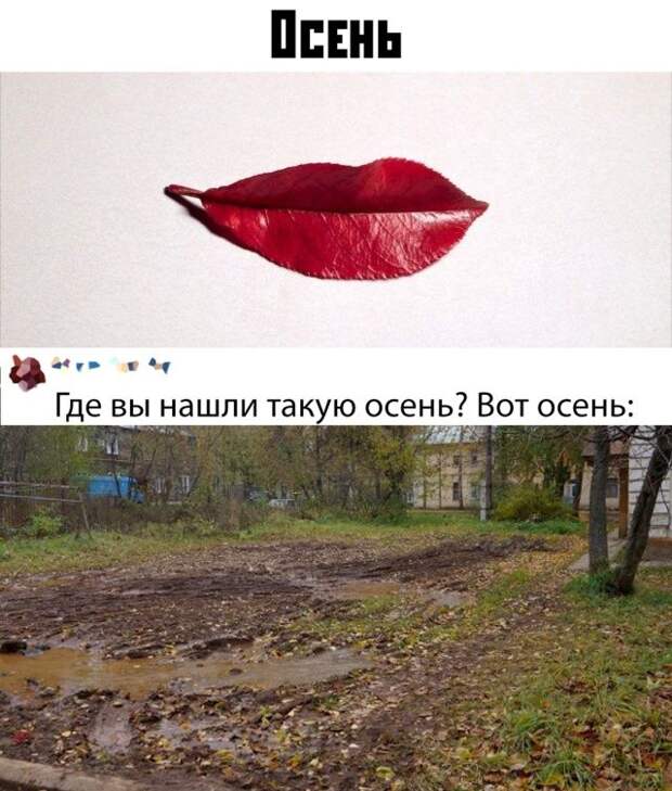 kartinok-intepesnyh-prikolnyh-kartinki-smeshnye-kartinki-fotoprikoly