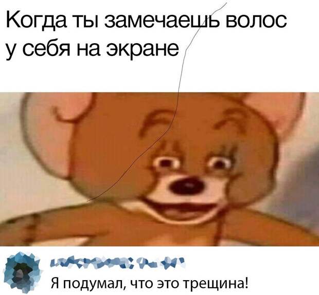 kartinok-intepesnyh-prikolnyh-kartinki-smeshnye-kartinki-fotoprikoly