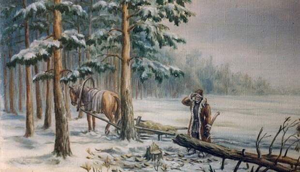 Какие деревья на Руси старались не рубить, и почему