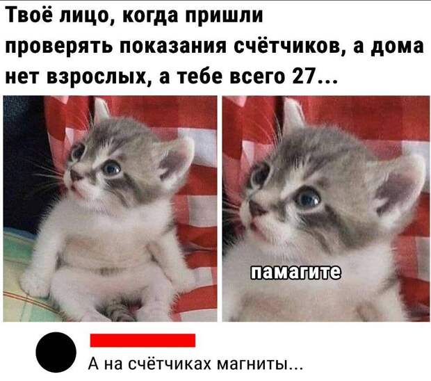 Ржачные картинки с надписями (18)