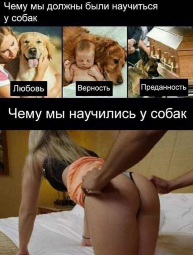 Мемы и приколы про 