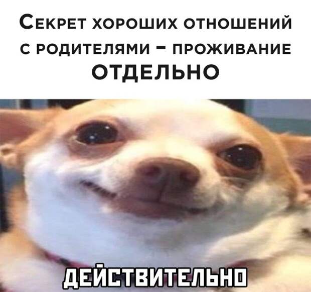 Смешные картинки вечер 4 февраля 2021