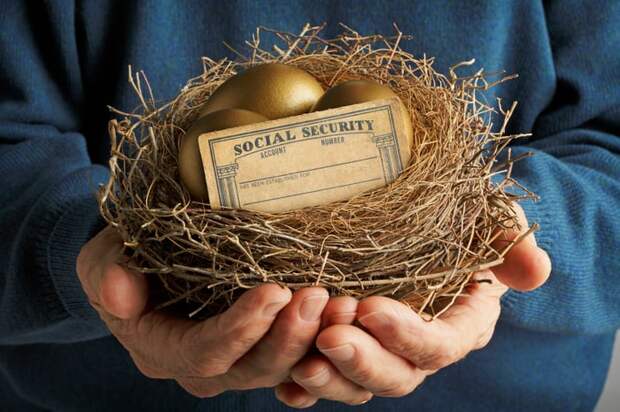 Nest with golden eggs and a Social Security card inside.