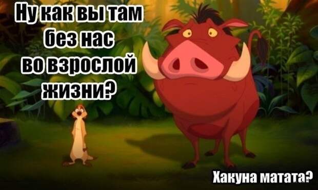 Прикольные картинки