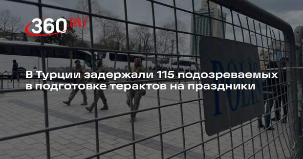 В Турции задержали 115 подозреваемых в подготовке терактов на праздники