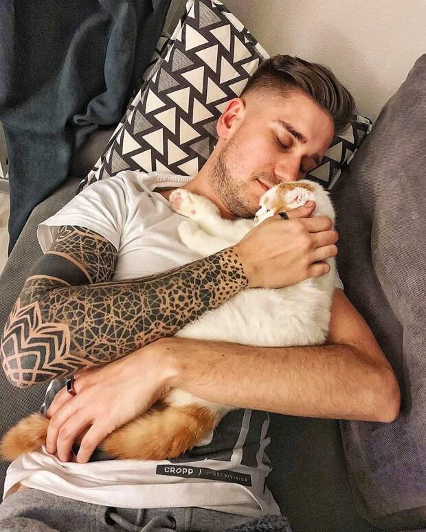 Мужчина любящий кошку. Мужчина который любит кошек передача. Как мужики любят котов.