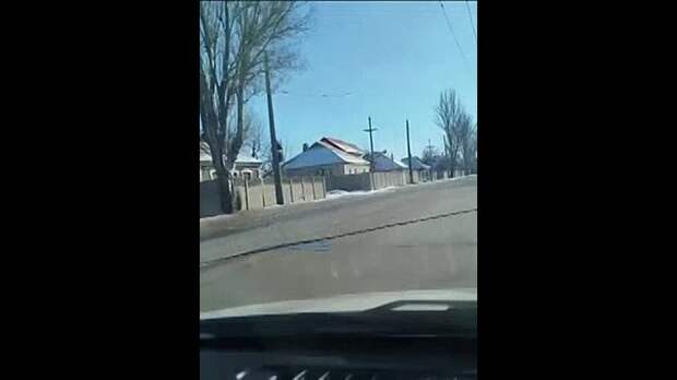Video: video (1).mp4