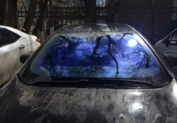 Скажи солнышку привет.