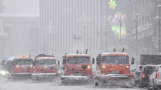 Локощенко: январь стал самым снежным в Москве за последние 203 года