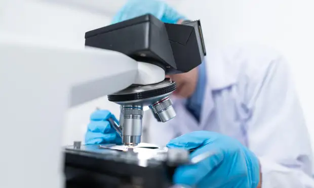 В Поморье стартовал приём заявок на грантовую программу для молодых учёных