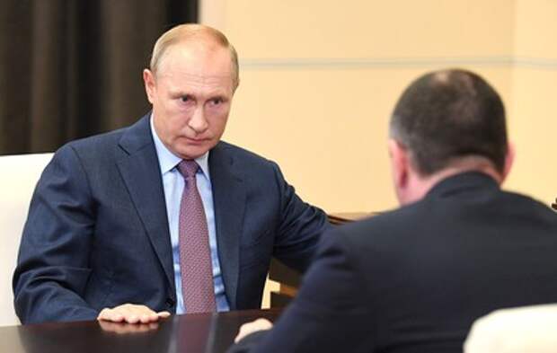 Путин и гендиректор "Интер РАО" обсудили планы по развитию компании