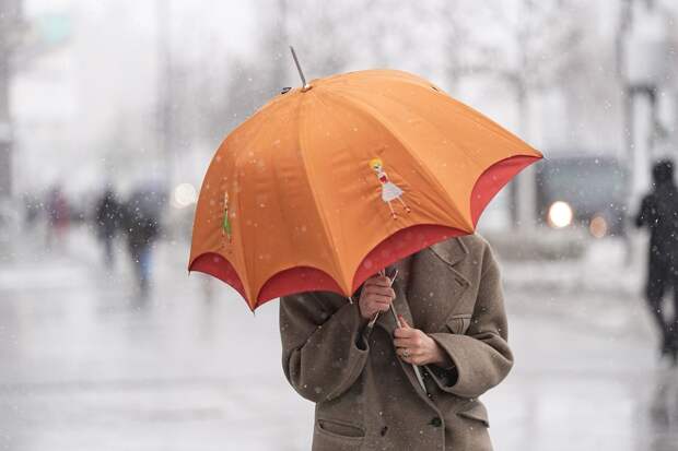 Тишковец: в Москве с приходом мая потеплеет до плюс 11