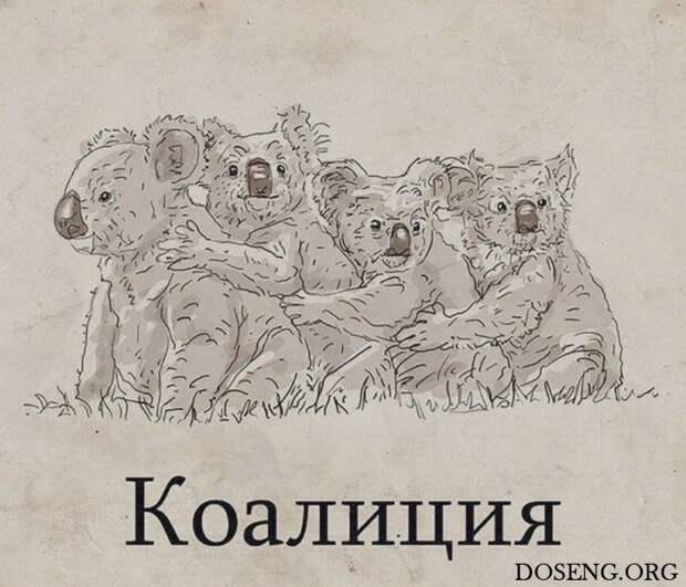 Прикольные картинки