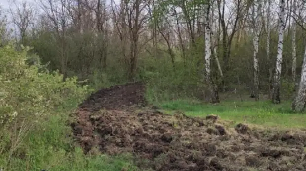 Жителей в Ростове возмутили перекопанные тропинки в Щепкинском лесу