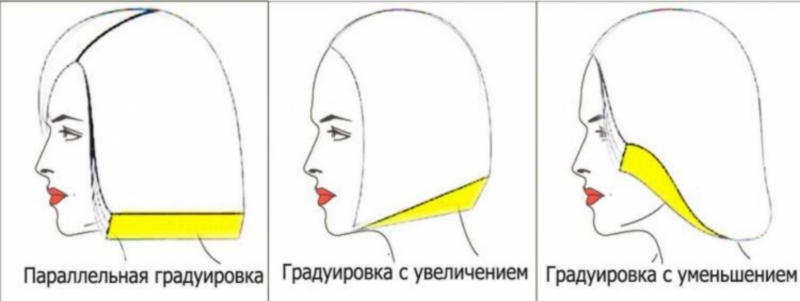 Градуированная стрижка: пошаговая схема выполнения, 35 фото