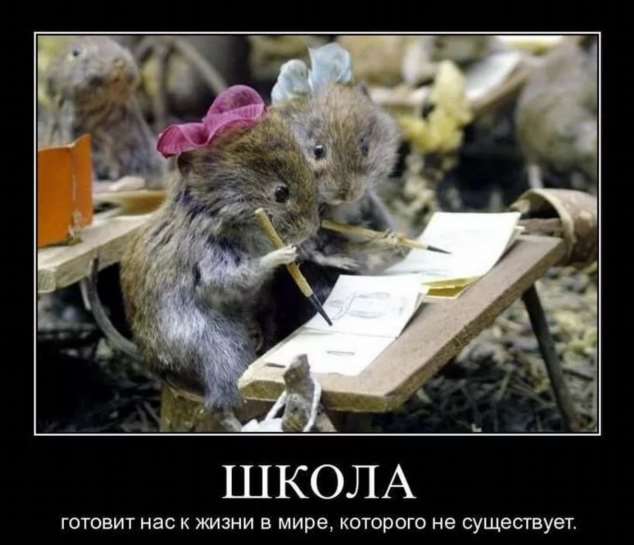 Прикольные демотиваторы с надписями. Подборка chert-poberi-dem-chert-poberi-dem-39000330082020-10 картинка chert-poberi-dem-39000330082020-10