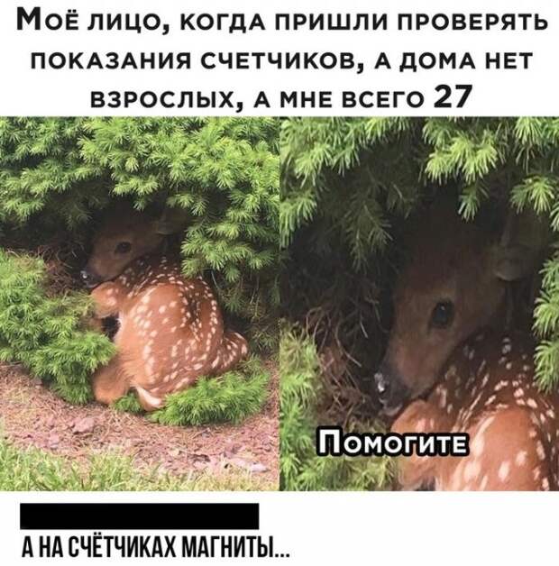 Смешные комментарии к постам в социальных сетях