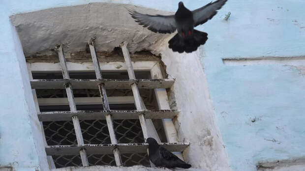 Глава «Отцы рядом» Курбаков призвал давать пожизненное матерям за детоубийство