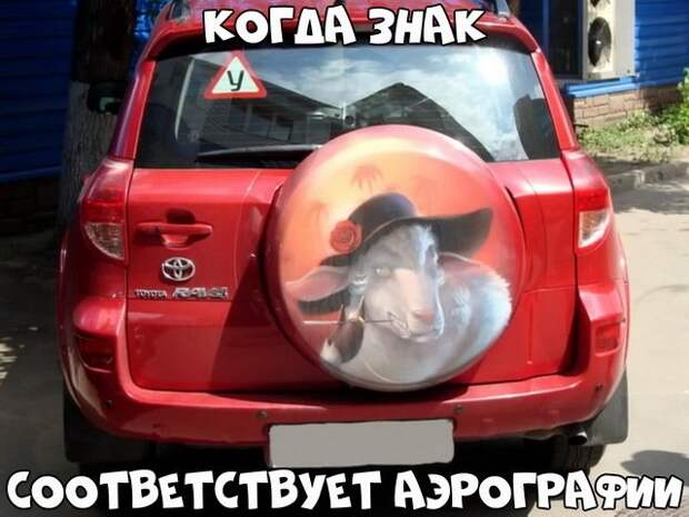 Автовсячина-30 фото- Автовсячина-30 фото-