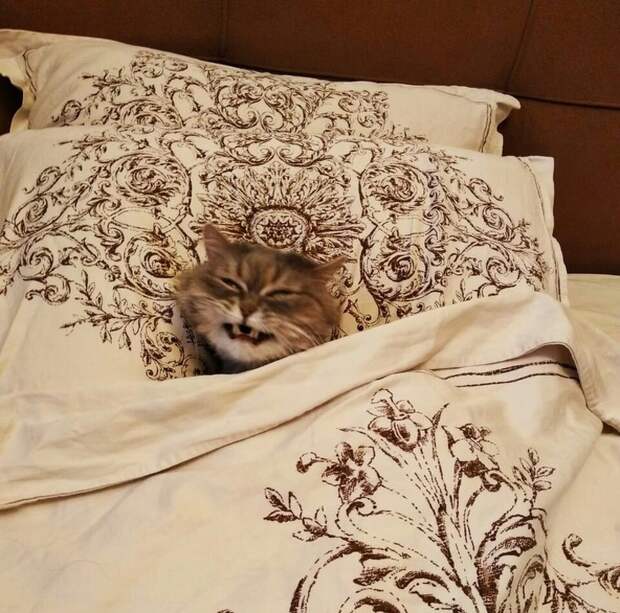 20+ человек, которые на любые фотографии смотрят сквозь призму сарказма