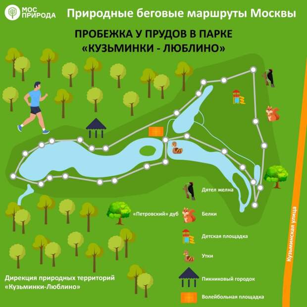 Инфографика беговой маршрут 