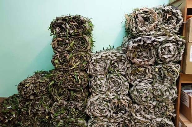 Волонтеры севера столицы отправляют в зону СВО гумпомощь и письма поддержки