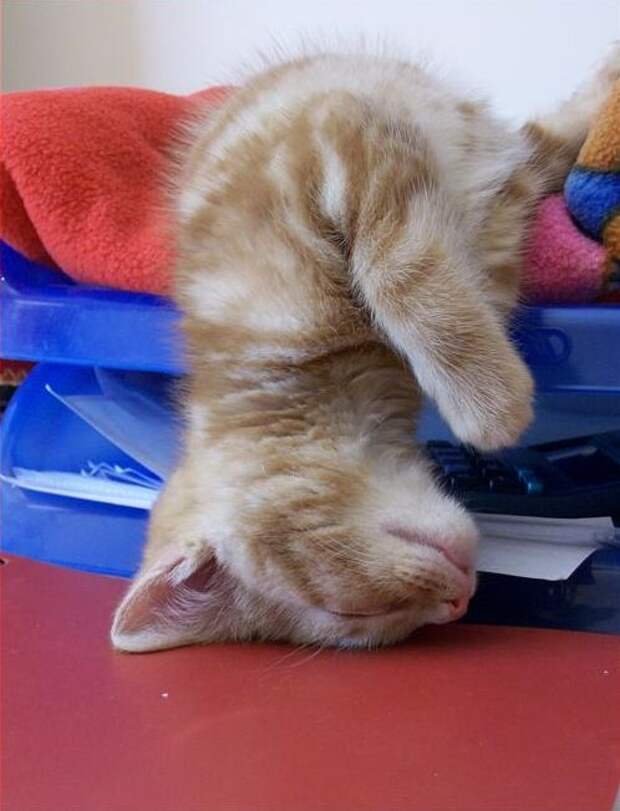 Давайте улыбаться вместе :)