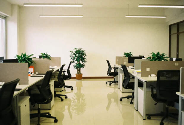 Какое наказание грозит сотруднику за оскорбление начальства