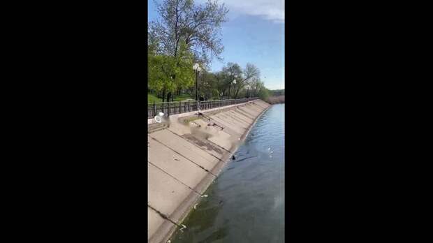 Video: com.bongasoft.addremovewatermark_VID_20250421_121525_669.mp4