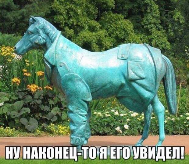 Поржачная солянка! #154