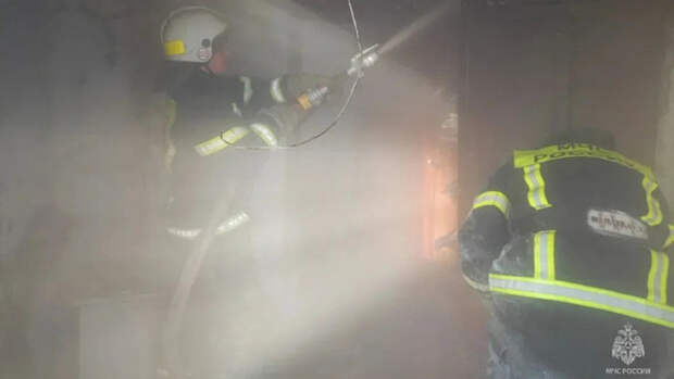 Тушение пожара / Фото: МЧС по Алтайскому краю