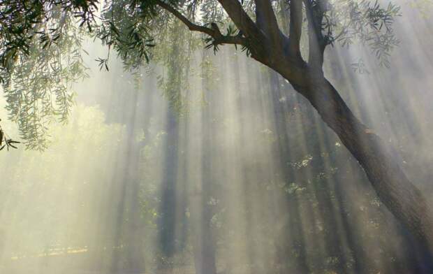 5 знаков зодиака — время избавиться от токсичных связей