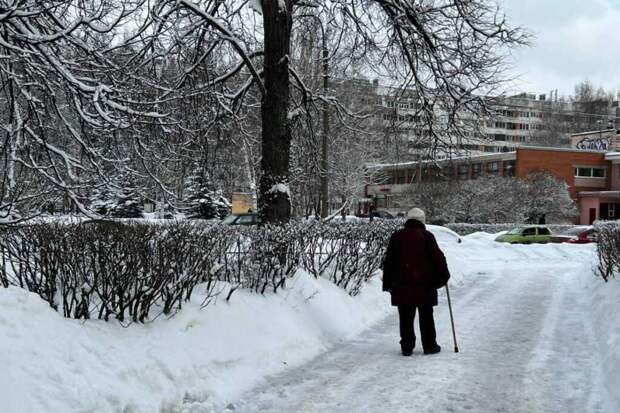 В России проанализируют доходы пенсионеров