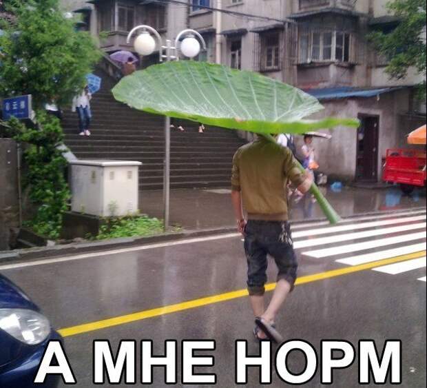 laEI34miff8