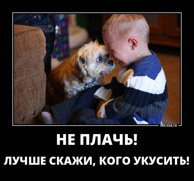 Новые смешные и забавные демотиваторы (46 фото) Новые смешные и забавные демотиваторы (46 фото)