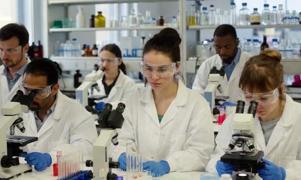 В креветках нашли вирус, лишающий зрения