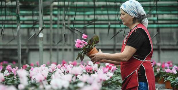 Рассада и другие дачные забавы марта: что и когда делать