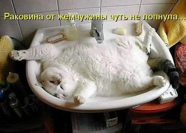 Давайте улыбаться вместе