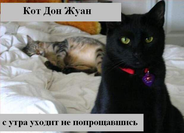 Мысли2 :) (50мыслей)