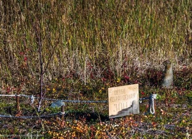 Как живут современные чукчи (29 фото)