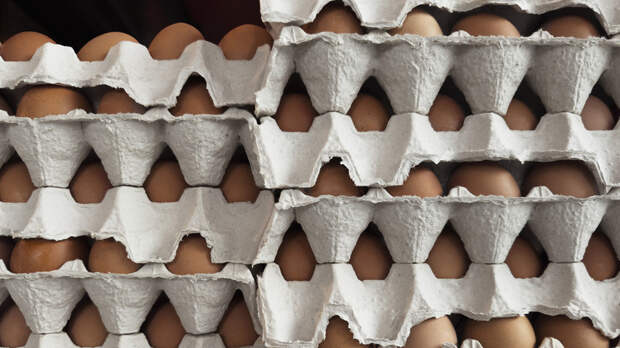 В Госдуме попросили ФАС проверить цены на куриные яйца перед Пасхой