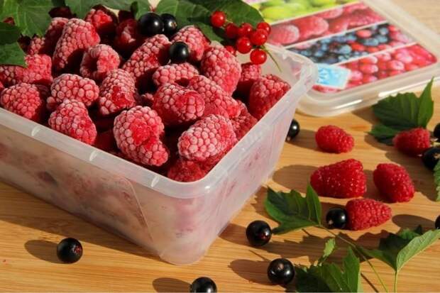 Секреты правильного хранения продуктов: советы от профессора