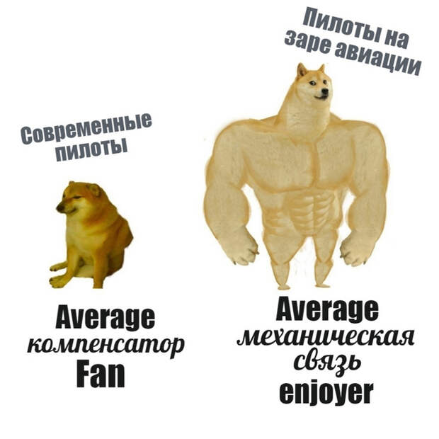 Самолёт принял решение приземлиться