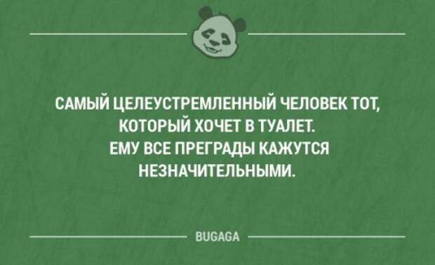 Прикольные фразы в картинках с надписями. Часть 76 (17 шт)