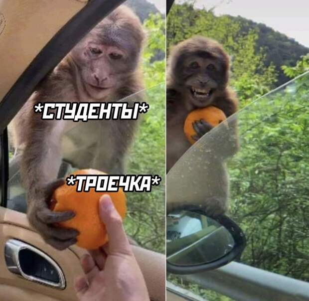 Смешные картинки 11 ноября 2021 года