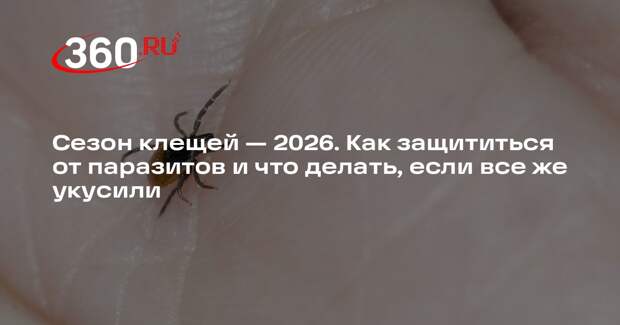 Инфекционист Мескина объяснила, что делать при укусе клеща