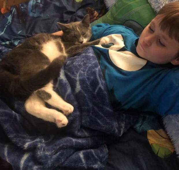 кошка дружит с ребенком мальчик с котом
