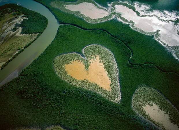 Yann Arthus-Bertrand