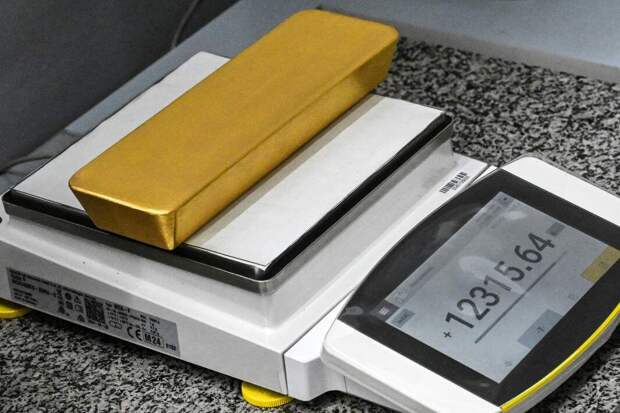 Фото: РИА Новости/Илья Наймушин