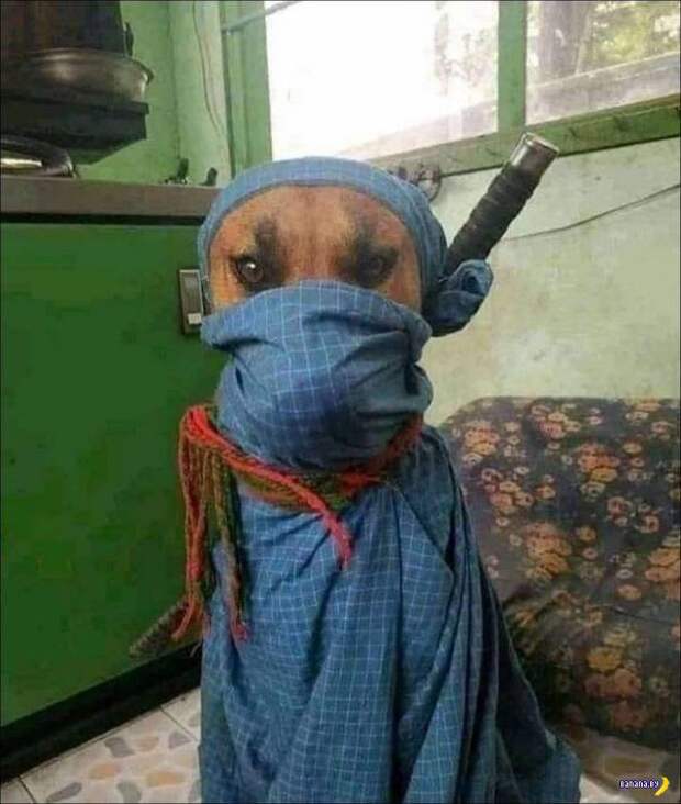 Животный мир! Животный мир!